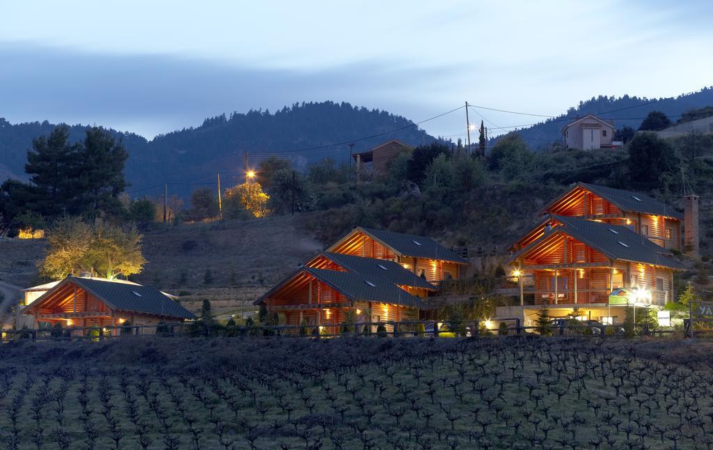 Kato Sinikia Trikalon Hyades Mountain Resort מראה חיצוני תמונה